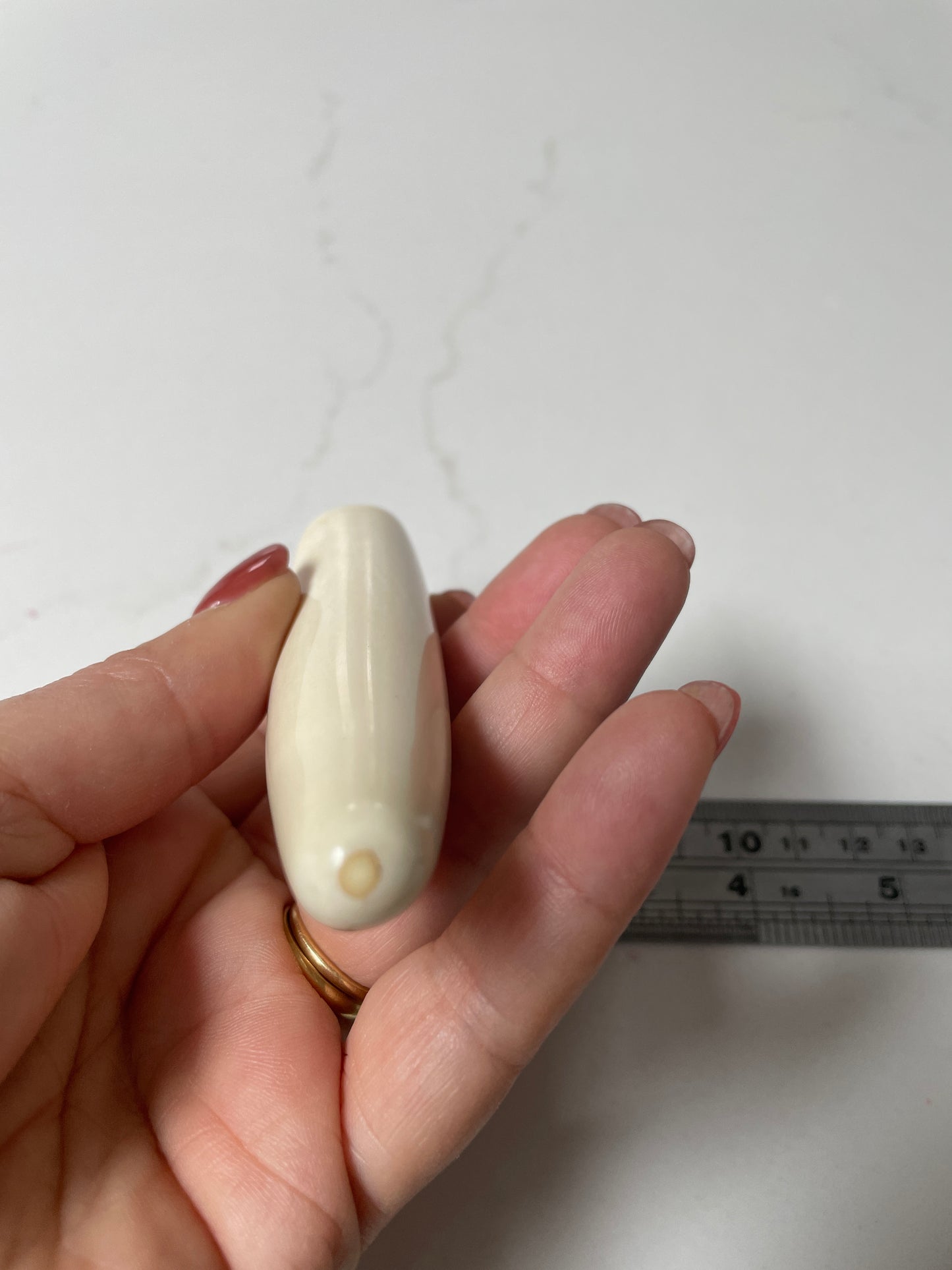 Sperm Whale Tooth