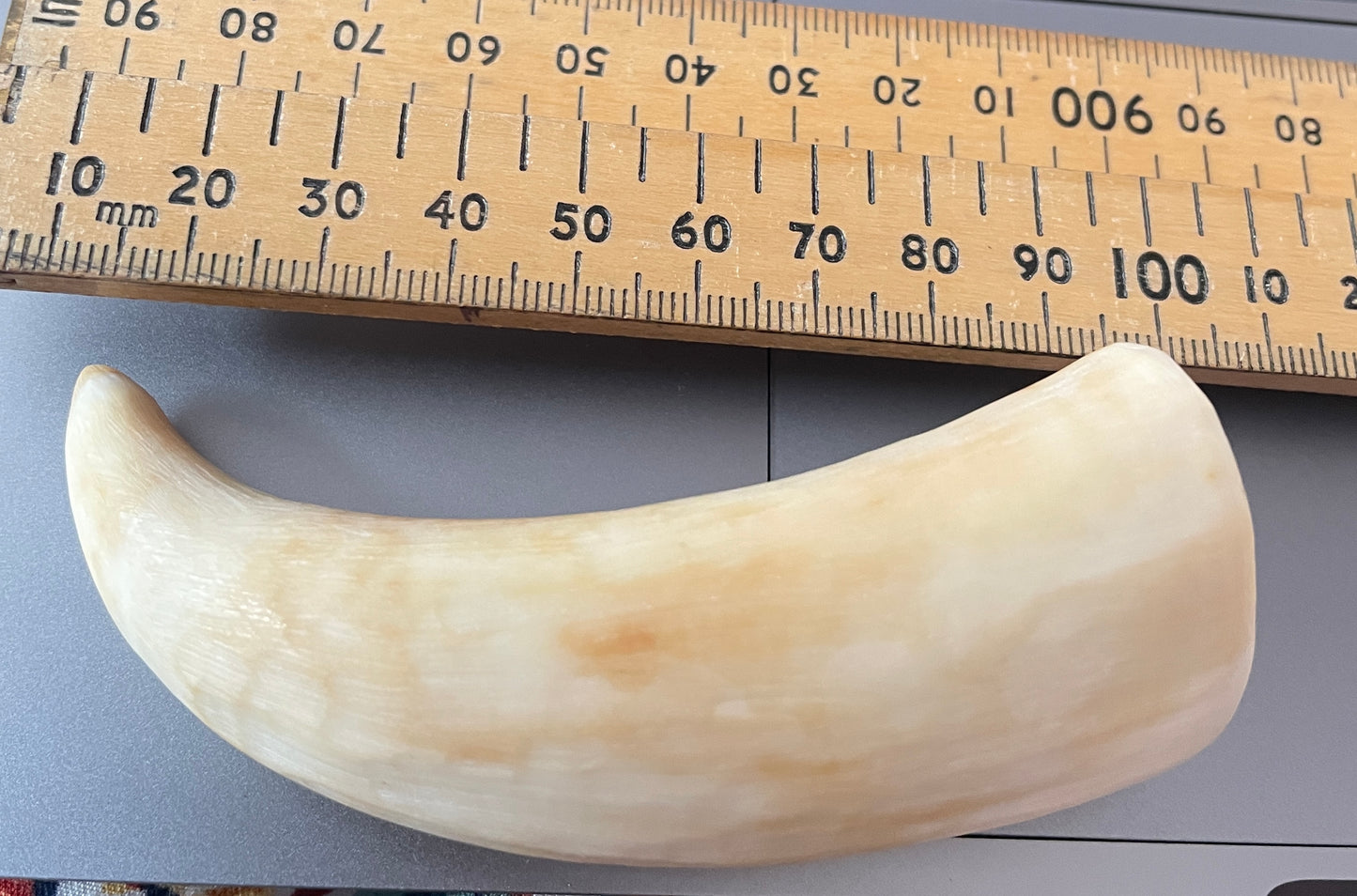 Sulu Whale Tooth