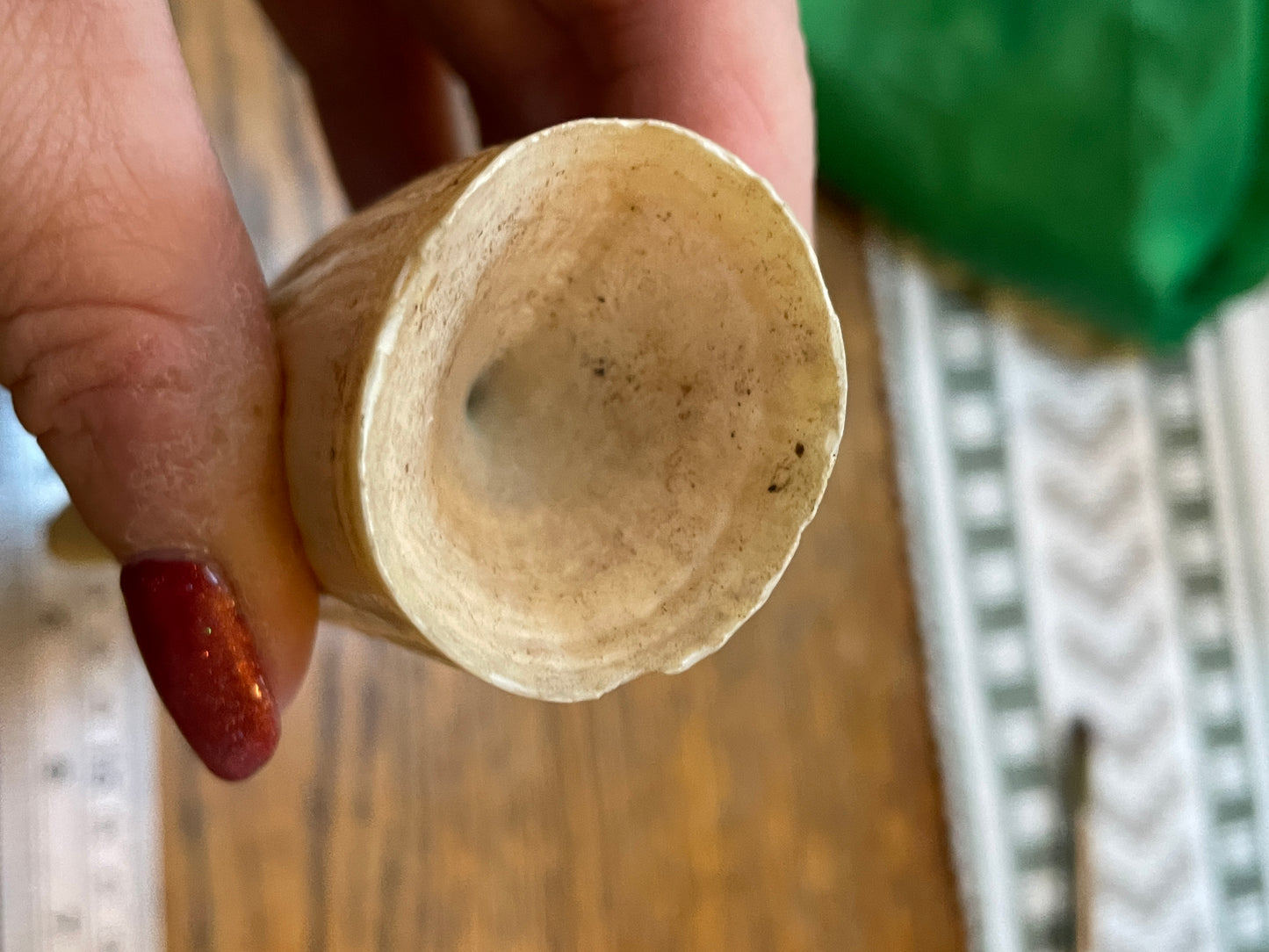 Unpolished Sperm Whale Tooth