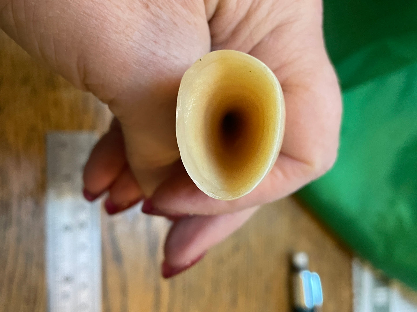 Unique Polished Sperm Whale Tooth
