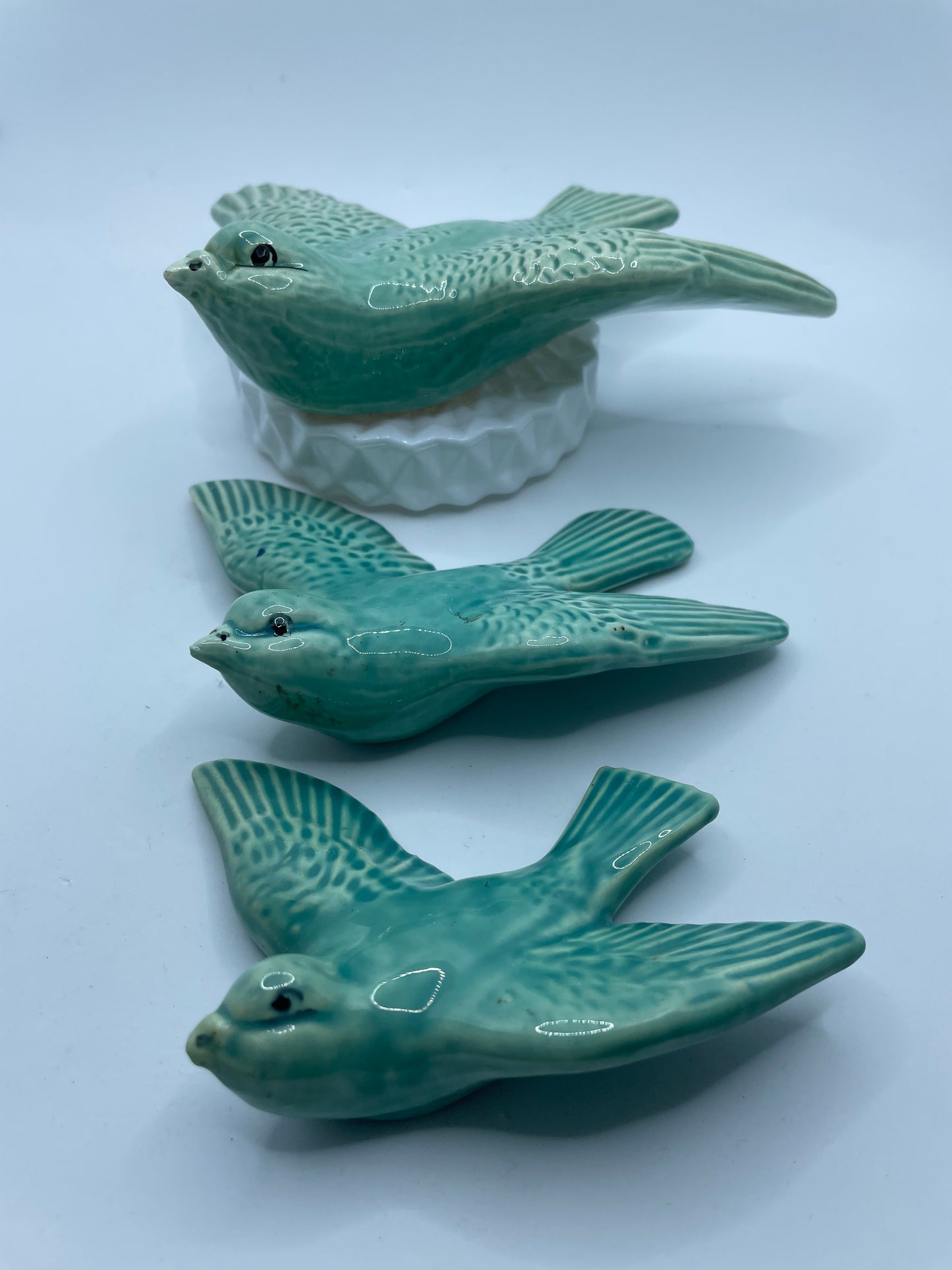 Swallows In Green