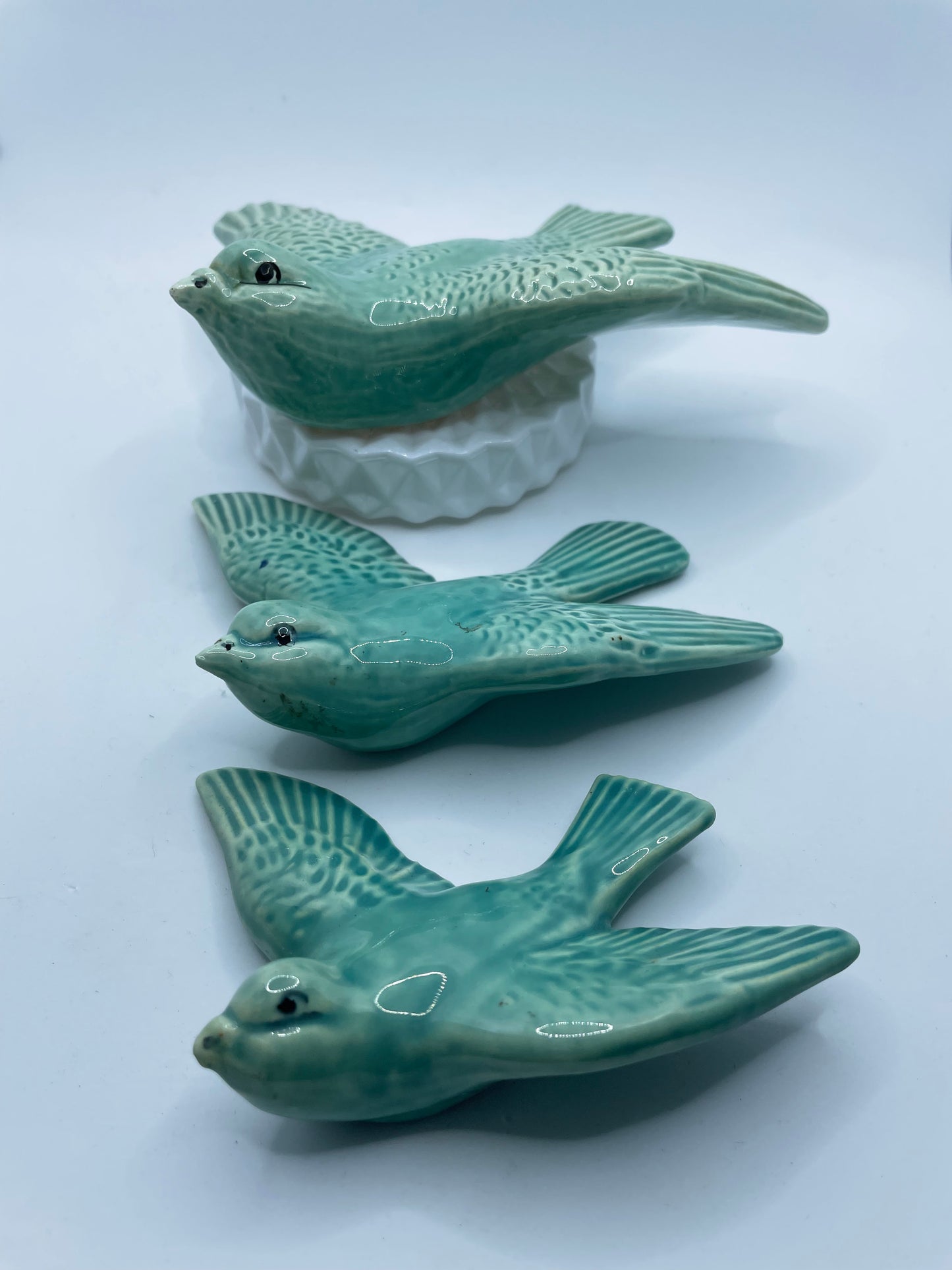 Swallows In Green