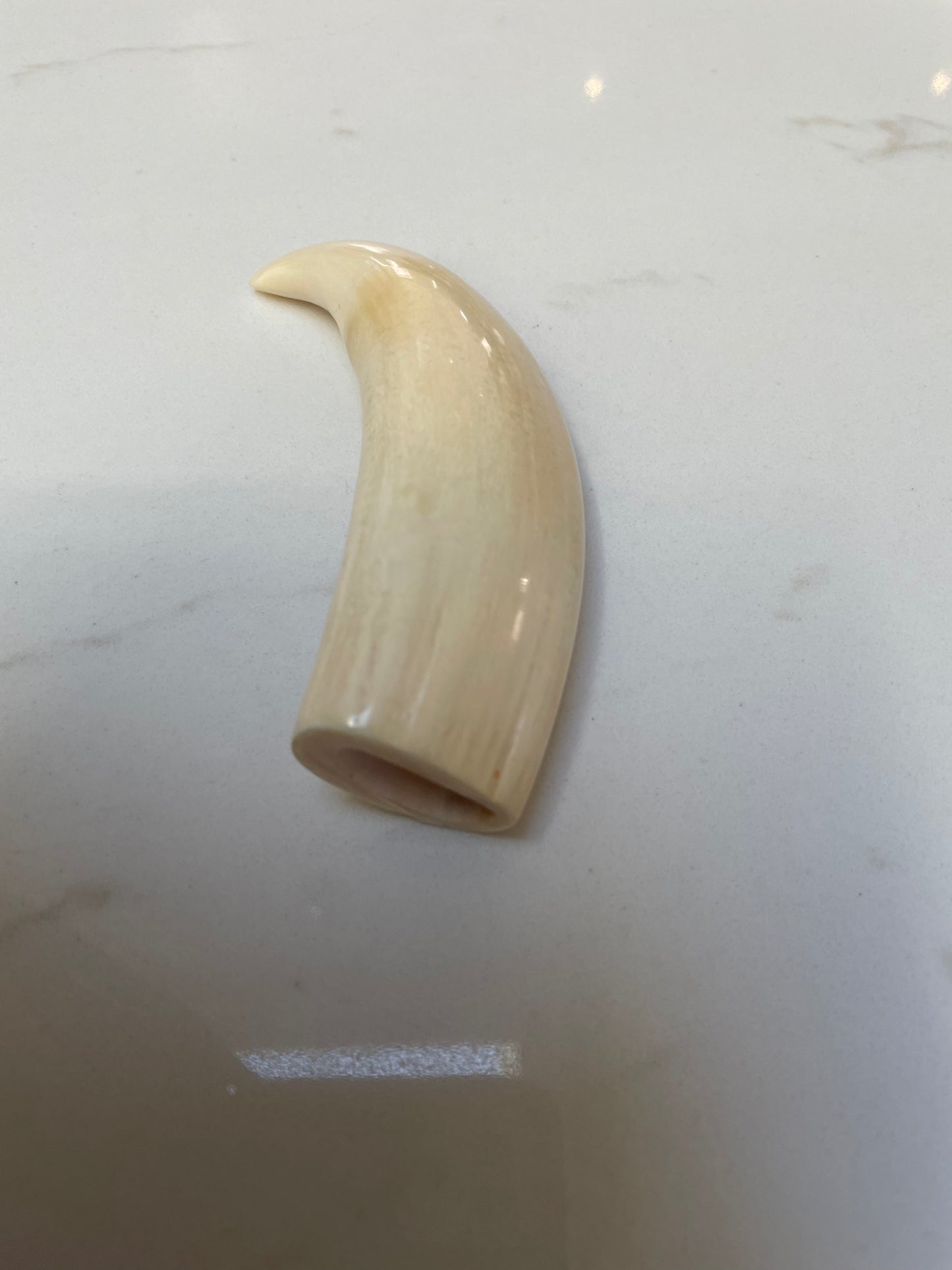 Sperm Whale Tooth SWT18