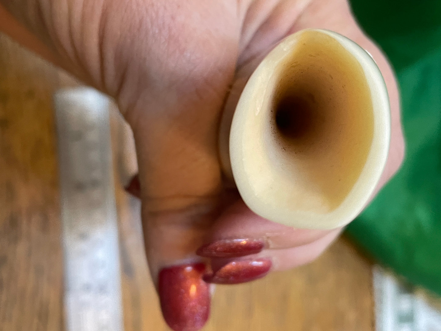 Polished Sperm Whale Tooth