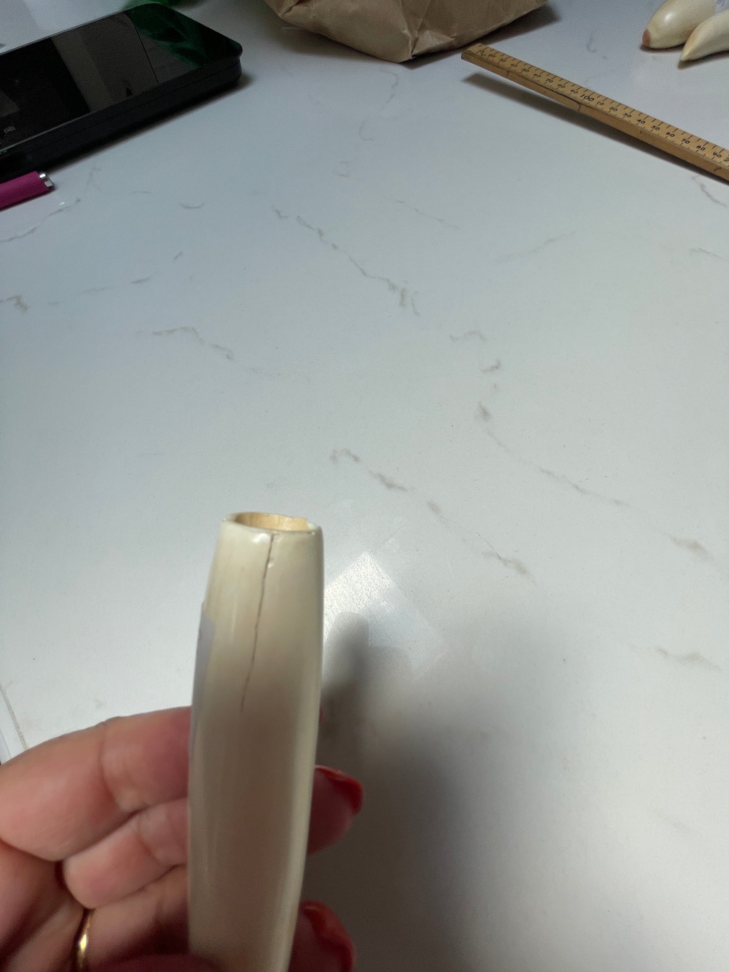 Sperm Whale Tooth 66