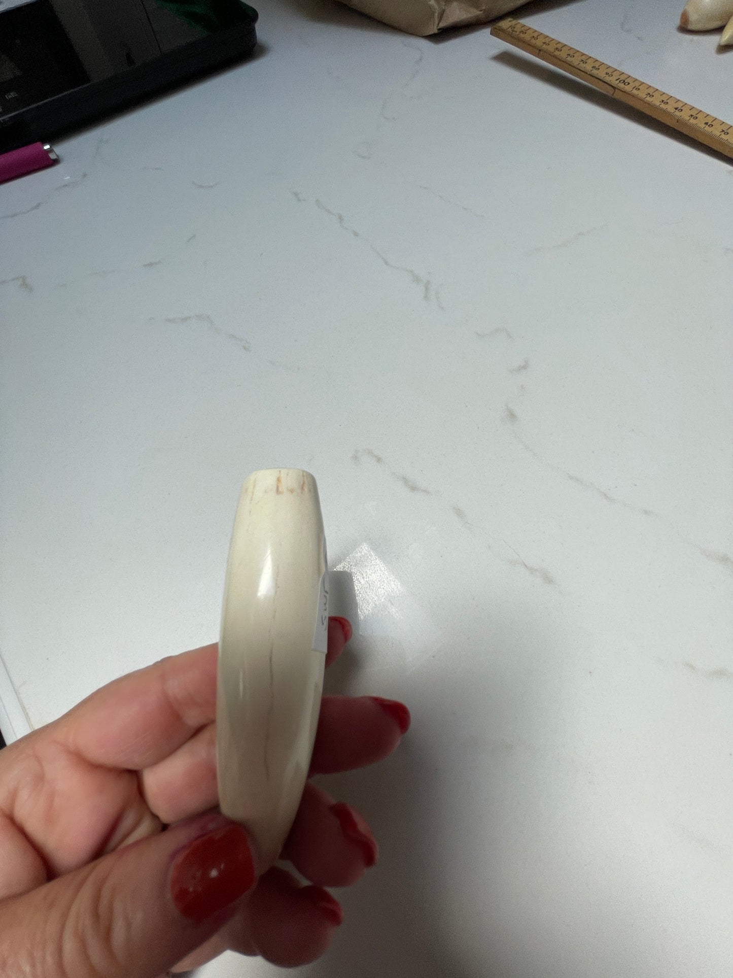 Sperm Whale Tooth 66