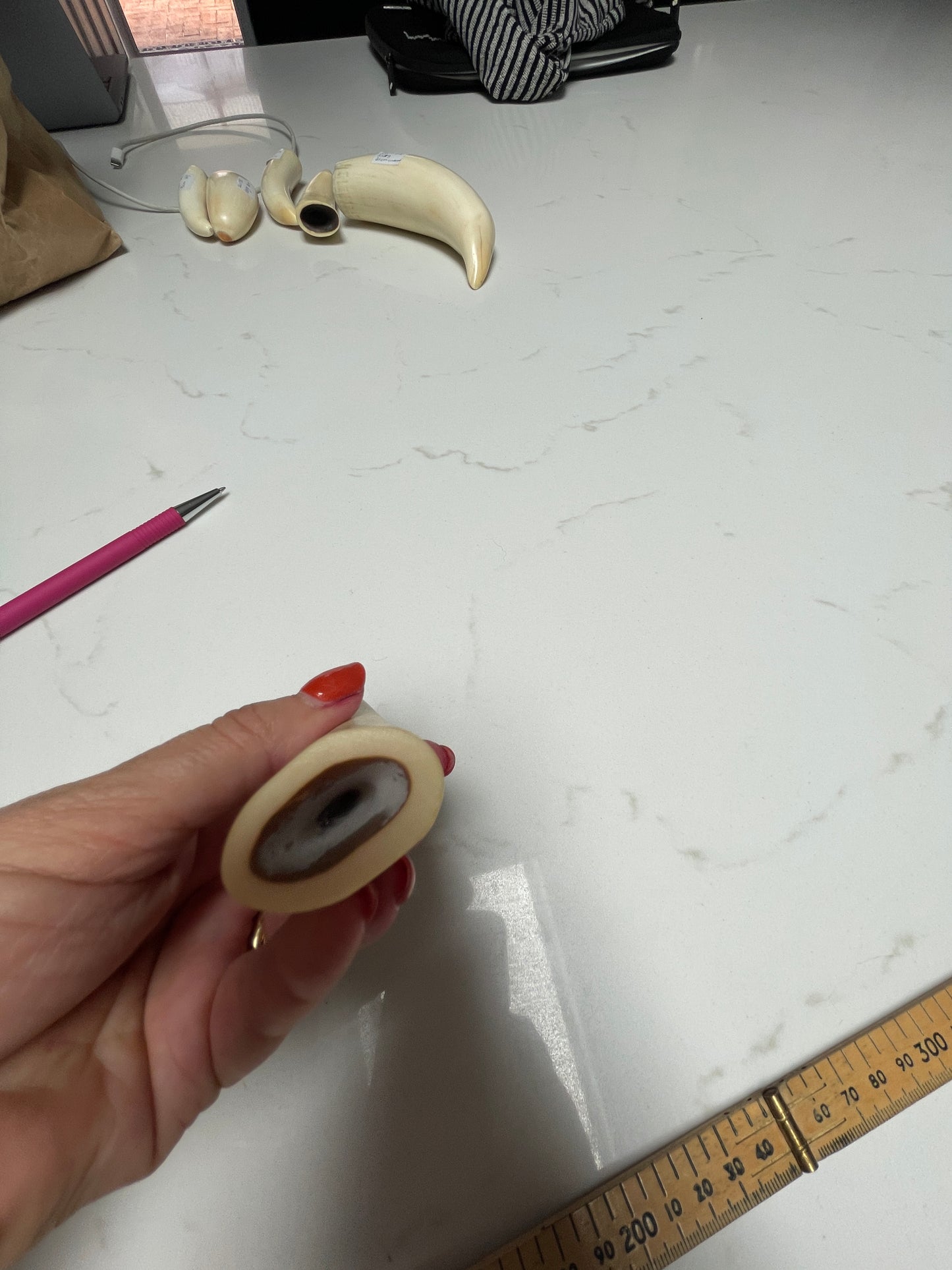 Lightly Polished Solid Sperm Whale Tooth