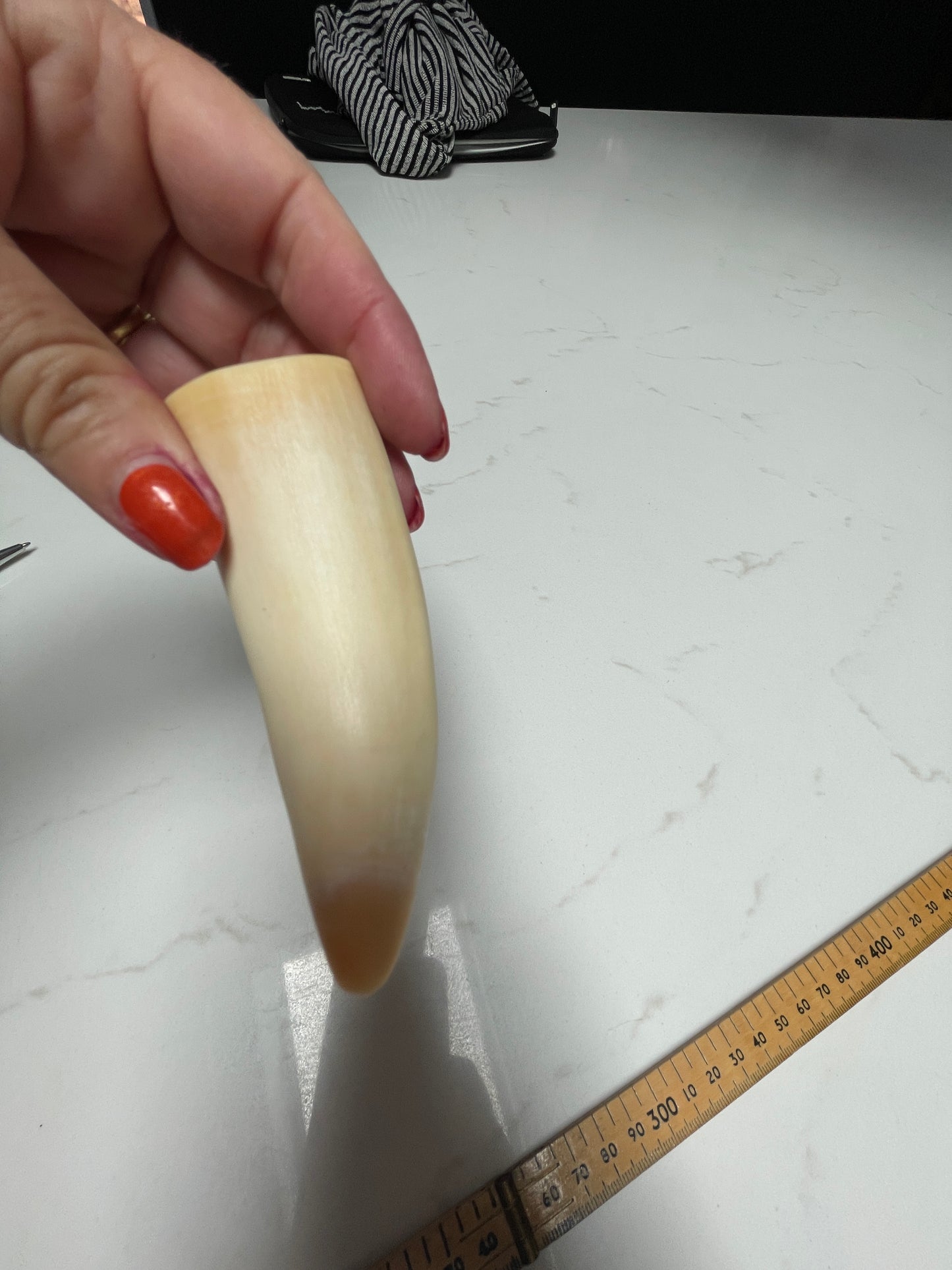 Lightly Polished Solid Sperm Whale Tooth