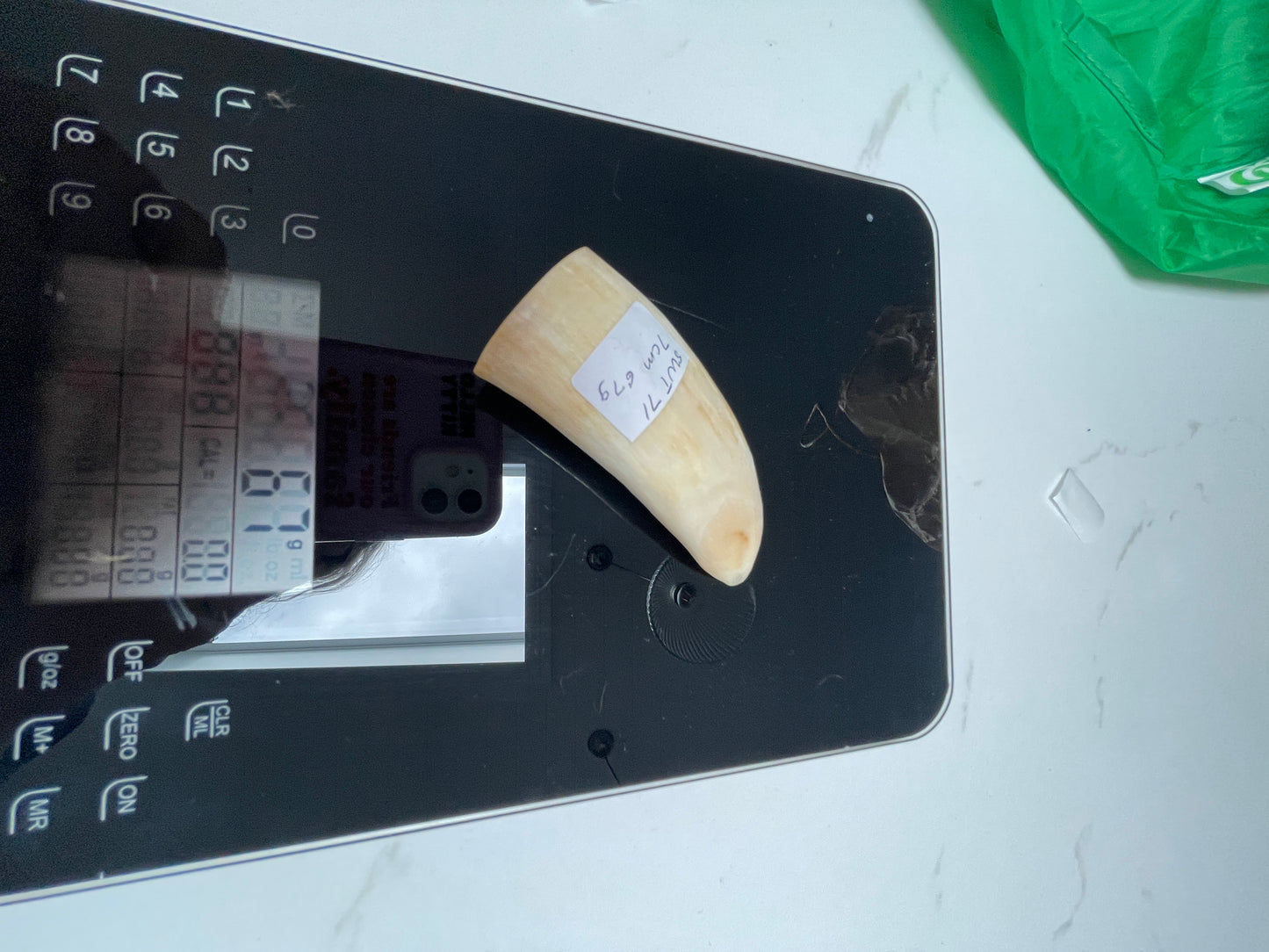 7cm Semi Polished Whale Tooth