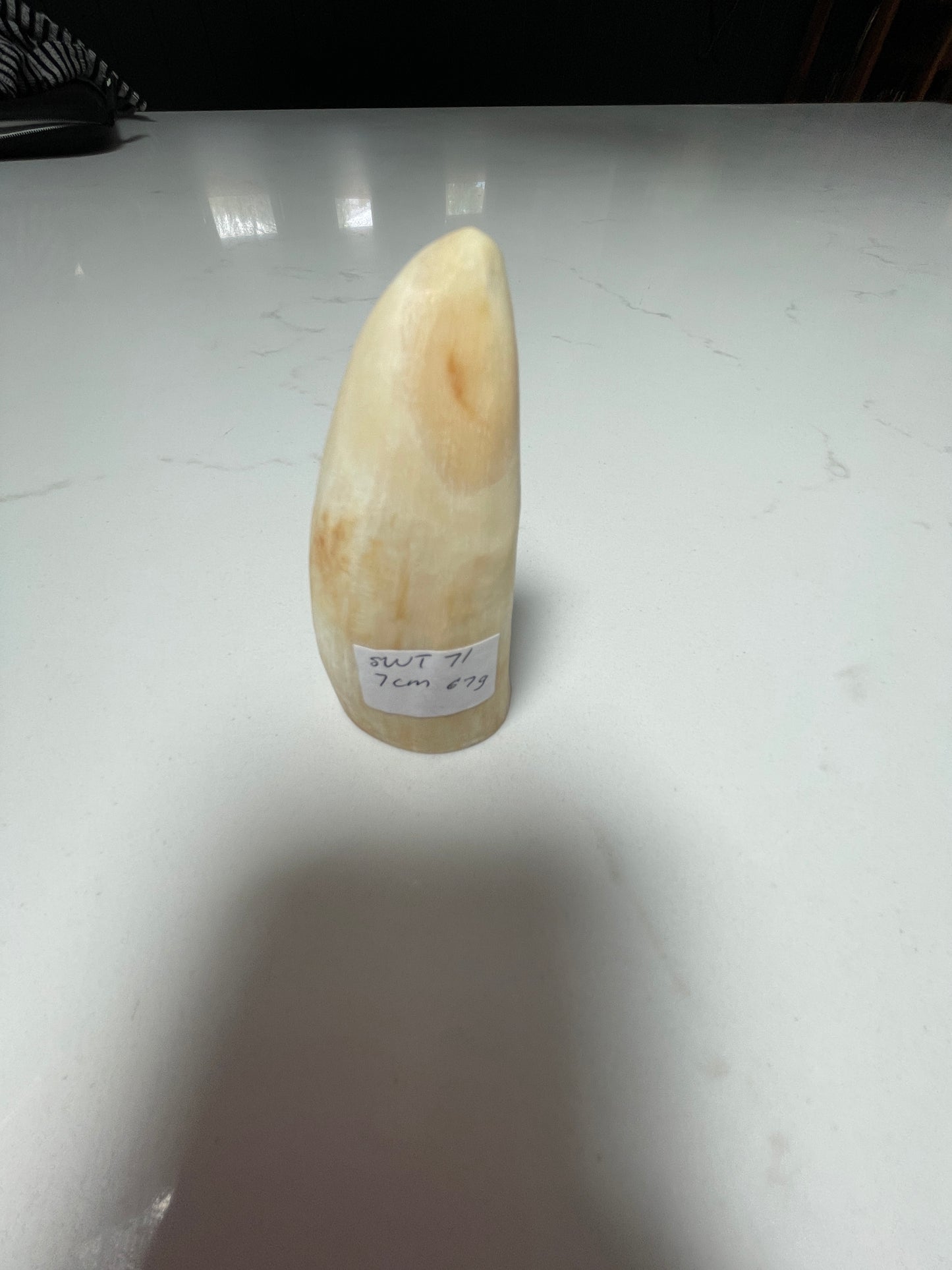 7cm Semi Polished Whale Tooth