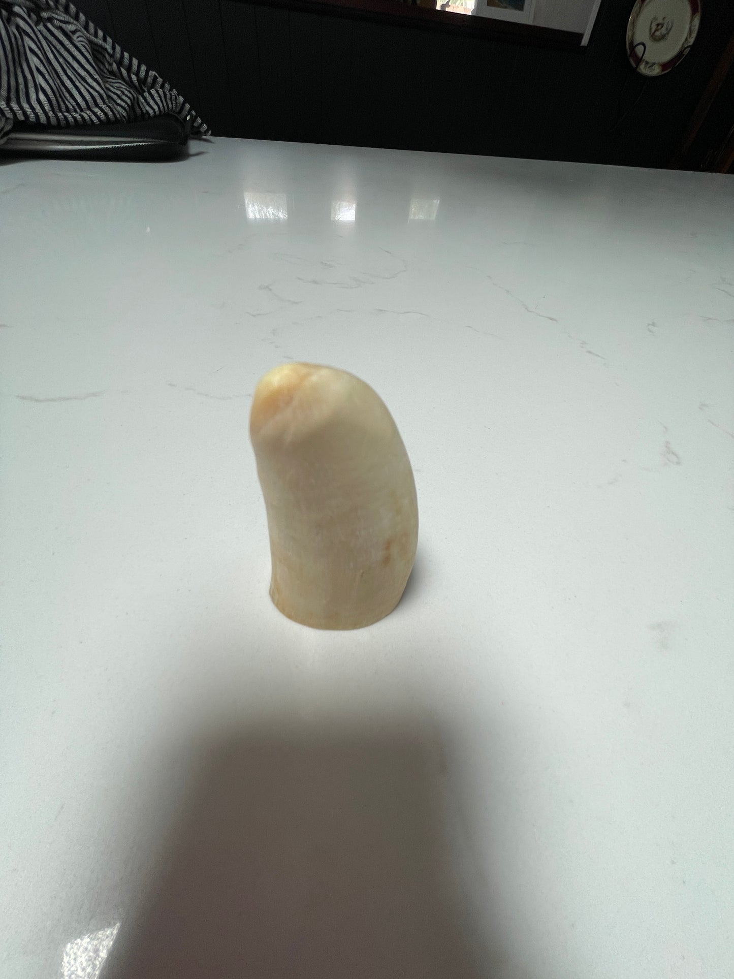 7cm Semi Polished Whale Tooth