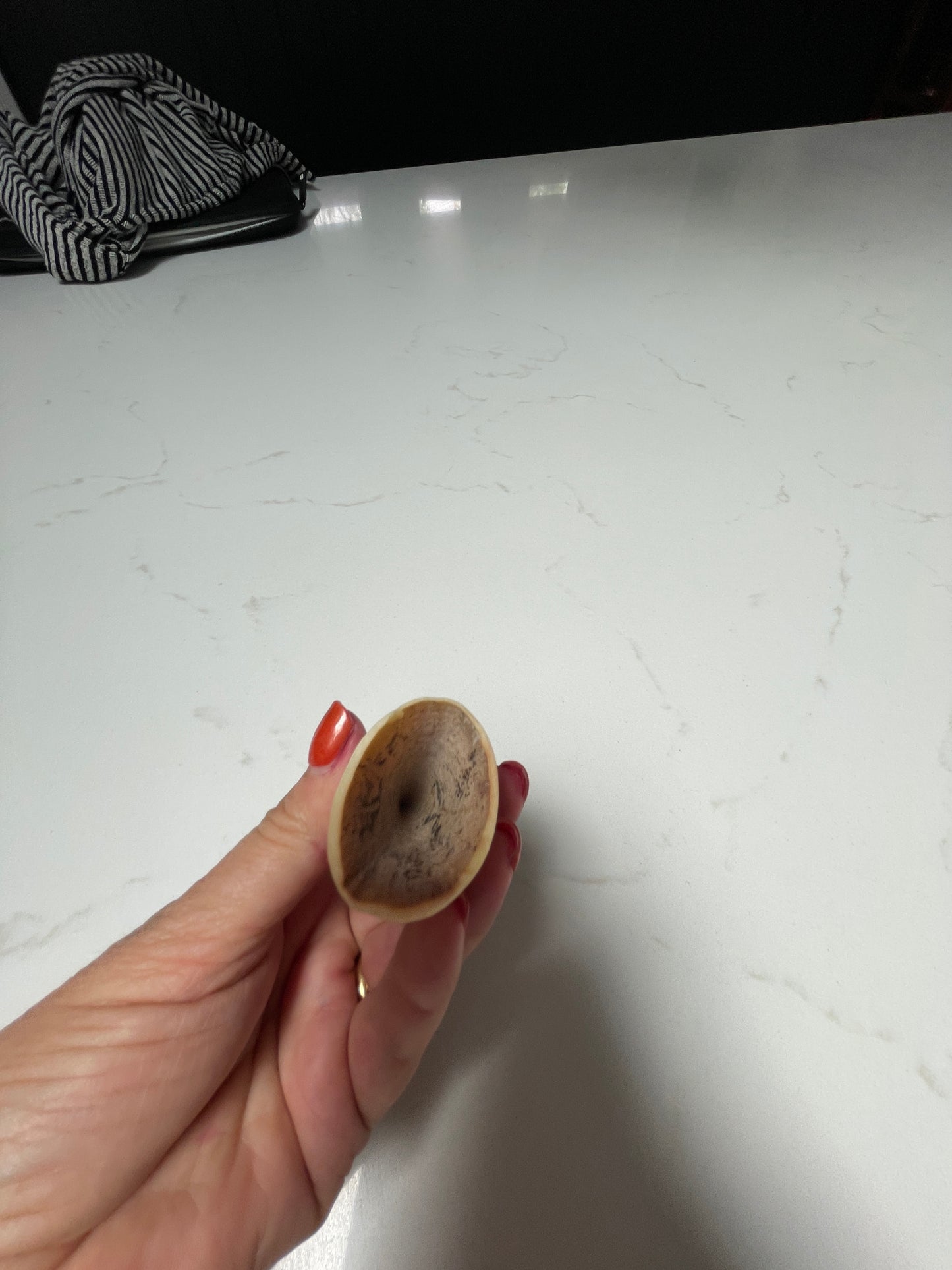 7cm Semi Polished Whale Tooth