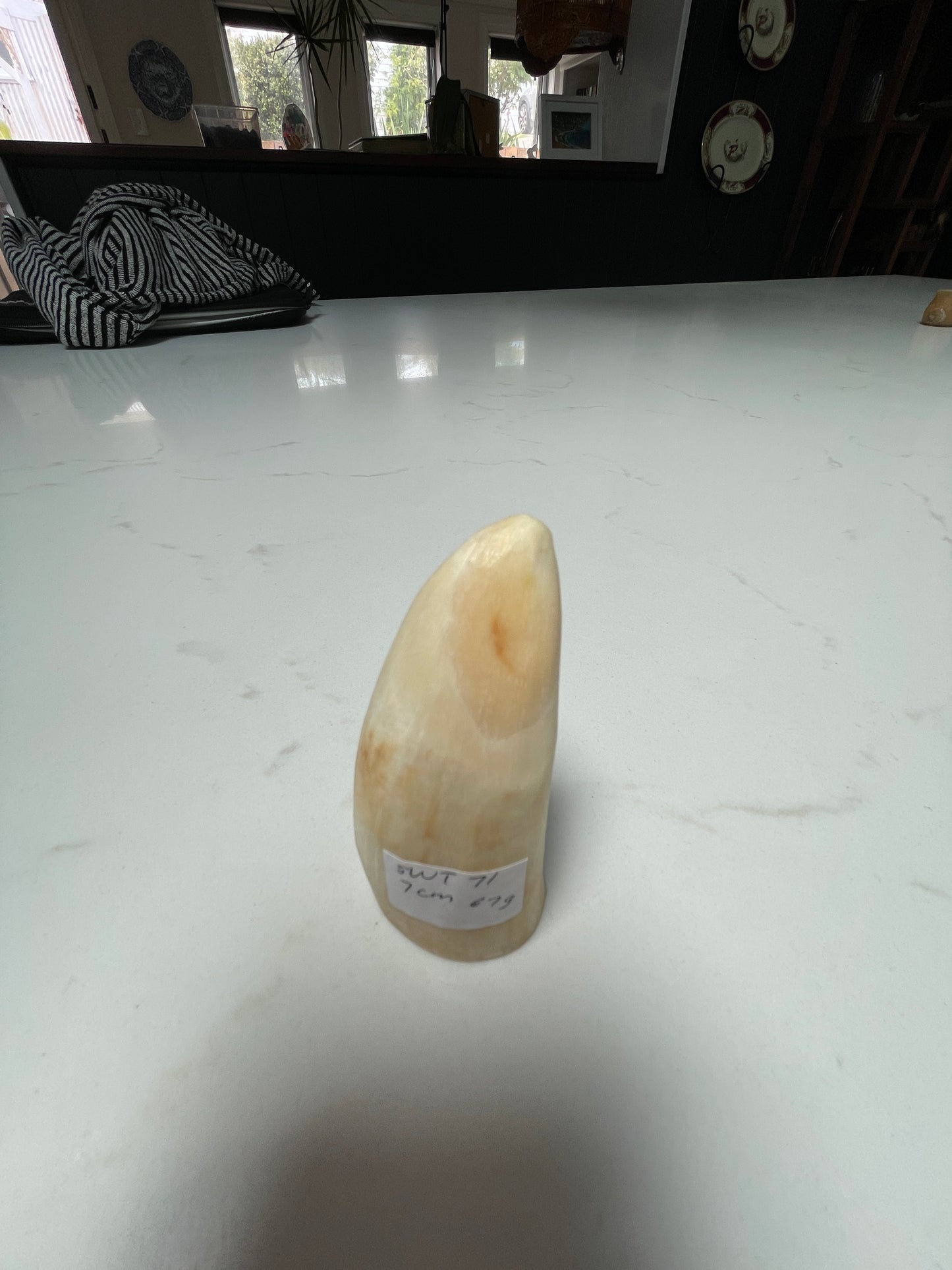 7cm Semi Polished Whale Tooth
