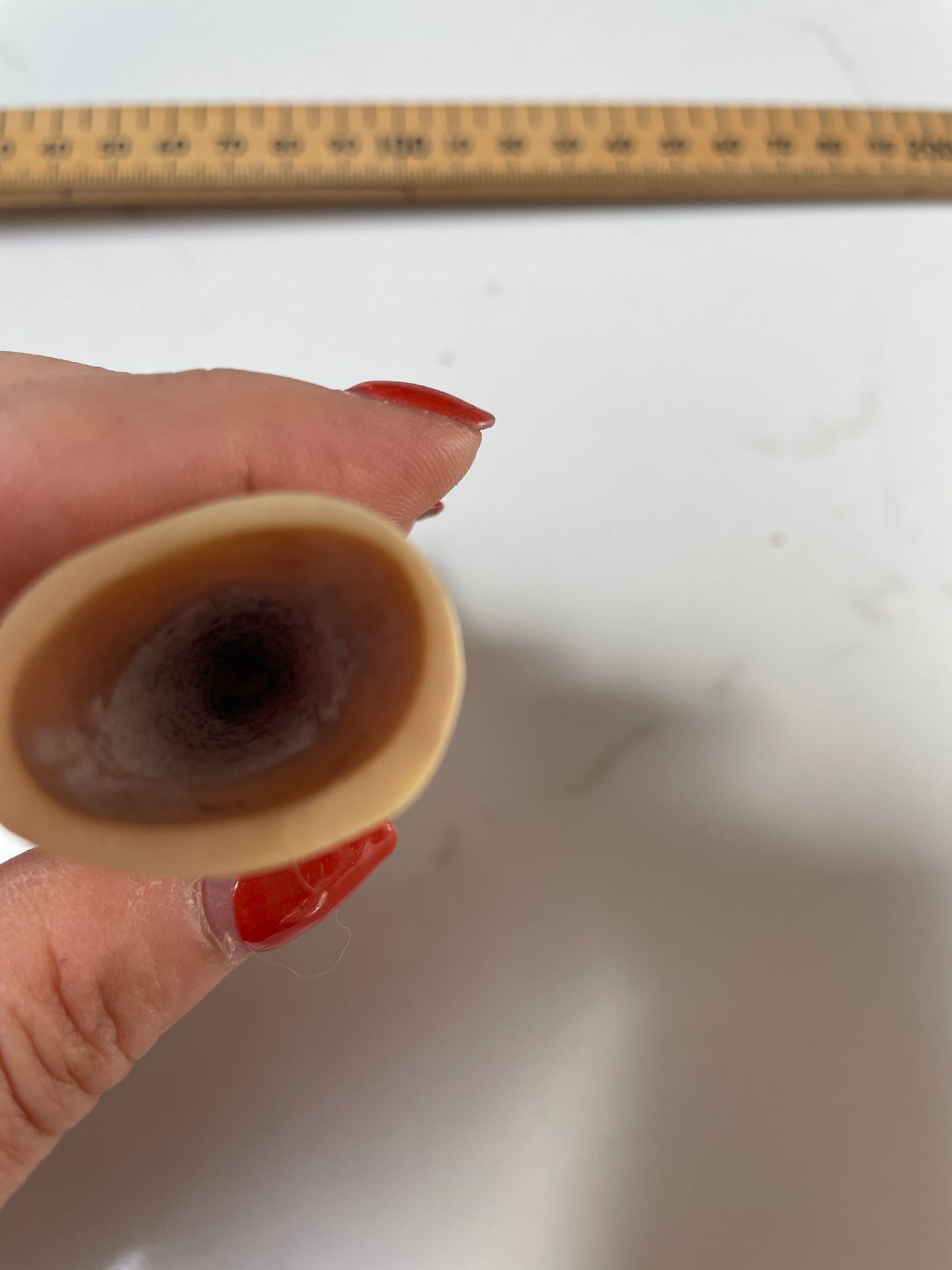 Lightly Polished Pointed Sperm Whale Tooth